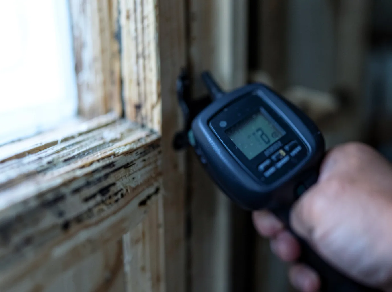 Moisture Inspection And Documentation in Charter Oak, IA